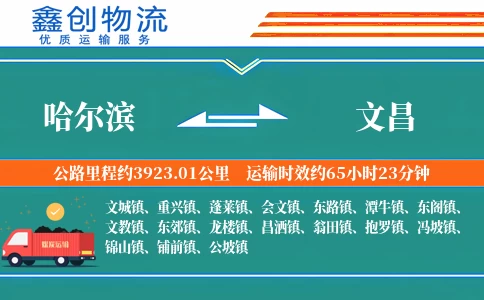 哈尔滨到文昌物流公司