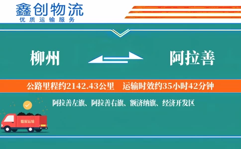 柳州到阿拉善物流公司