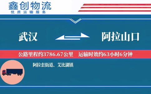 武汉到阿拉山口物流公司