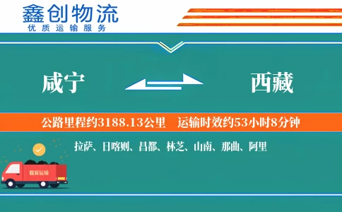 咸宁到西藏物流公司
