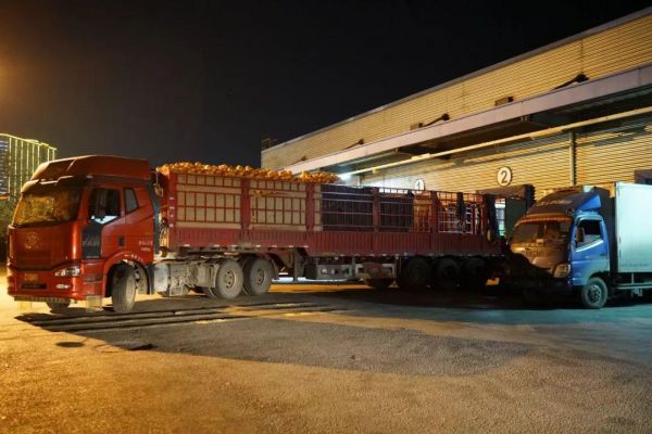 北京到四川物流